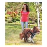 Darrahopens Pet Care L Dog Harness 2 in 1 Combo - Car Travel Rides + Walks - No Pull Leash Seat Belt