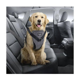 Darrahopens Pet Care L Dog Harness 2 in 1 Combo - Car Travel Rides + Walks - No Pull Leash Seat Belt