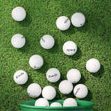 Darrahopens Sports & Fitness > Golf Everfit 12Pcs Golf Ball Set Reusable Distance Golf Balls Practice Training