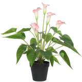 Artificial Flowering White & Pink Peace Lily / Calla Lily Plant 50cm