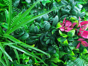 Elegant Red Rose Vertical Garden / Green Wall UV Resistant 100cm x 100cm