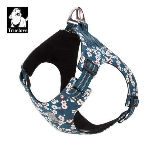 Floral Doggy Harness Saxony Blue 3XS