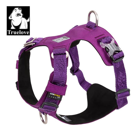 Lightweight Harness Purple XS