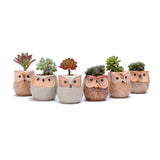 6PCS Mini Owl Plant Pots Ceramic Succulent Cactus Bonsai Flower Pots