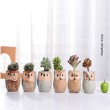 6PCS Mini Owl Plant Pots Ceramic Succulent Cactus Bonsai Flower Pots