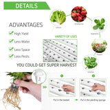 36 Sites Hydroponic Grow Tool Kits Vegetable Garden System 220V Water Pump