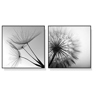 Wall Art 40cmx40cm Black and white dandelion 2 Sets Black Frame Canvas