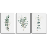 40cmx60cm Eucalyptus Plant  3 Sets Black Frame Canvas Wall Art