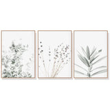 70cmx100cm Lavender Eucalyptus 3 Sets Wood Frame Canvas Wall Art