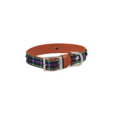 Highland Blue Tartan Dog Collar