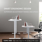 FORTIA Standing Desk Electric Dual Motor Adjustable Sit Stand 120KG Load, Matte White/Silver