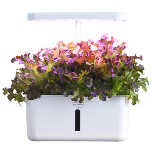 PLANTCRAFT 8 Pod Indoor Hydroponic Growing System, with Water Level Window & Pump, White