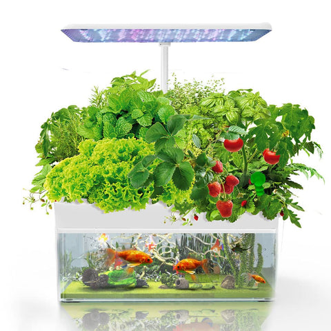 PLANTCRAFT 12 Pod Indoor Hydroponic Growing System with Fish Tank