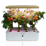 PLANTCRAFT 12 Pod Indoor Hydroponic Growing System, with Water Level Window & Pump, White