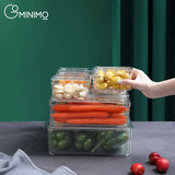 GOMINIMO 10 Pack Clear Stackable Fridge Organiser Bins with Lids (Transparent) GO-STO-103-ZG