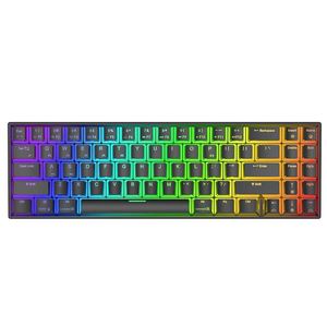 Royal Kludge RK71 RGB Dual Mode Hot Swappable Mechanical Keyboard Black (Red Switch)