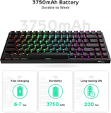 Royal Kludge RK84 RGB Tri Mode Bluetooth Hot-Swappable Mechanical Keyboard Black (Brown Switch)