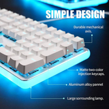 Royal Kludge RK918 RGB Wired Mechanical Keyboard White (Brown Switch)