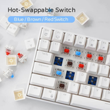 Royal Kludge RK100 Tri Mode Bluetooth RGB Hot Swappable Mechanical Keyboard White (Blue Switch)