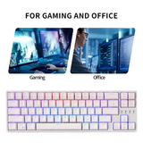 Royal Kludge RK871 (RK68 PLUS) Wired Tri Mode Bluetooth RGB Hot Swappable Mechanical Keyboard White (Brown Switch)