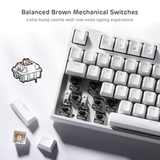 Royal Kludge RK837 (RKG68) Wired Tri Mode Bluetooth RGB Hot Swappable Mechanical Keyboard White (Brown Switch)