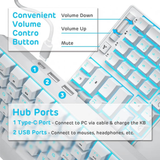 Royal Kludge RK96 Wired Tri Mode Bluetooth RGB Hot Swappable Mechanical Keyboard White (Red Switch)