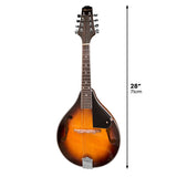 Karrera Traditional Mandolin - Sunburst