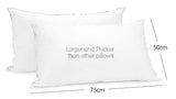 Laura Hill Duck Down Feather Pillow Twin Set - 1.3kg