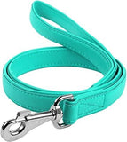 Waudog Leather Flat Clip Leash W9MM - L122CM MINT