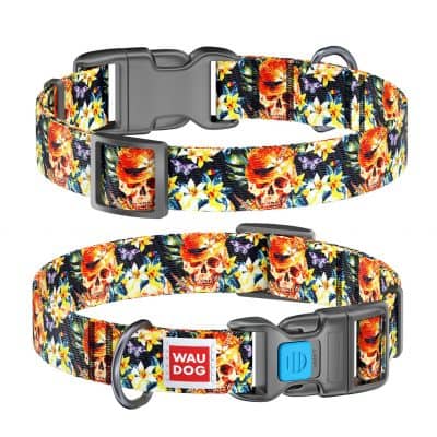 Collar Company Dog Collar Nylon - Printed with - GLAMOROUS SKULLS 23-35CM