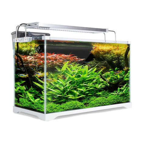 Dynamic Power Aquarium Fish Tank 39L Starfire Glass