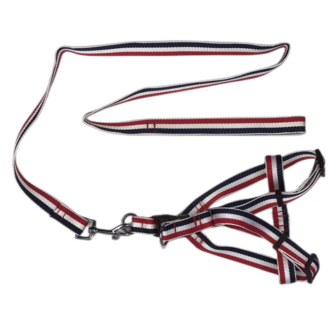 2 X Large Pet Dog Harness Collar leash lead