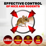 SAS Pest Control 96PCE Mice Rodent Traps Poison Free Non-Toxic 13.5 x 17.5cm