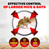 SAS Pest Control 24PCE Rat Traps Reusable Indoor/Outdoor Metal 16cm