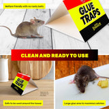 SAS Pest Control 48PCE Mice Rat Traps Peanut Scented Poison Free Non-Toxic