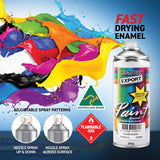 Australian Export 12PK 250gm Aerosol Spray Paint Cans [Colour: Turquoise]