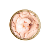 CAT FOREST Premium Tuna White Meat With Shrimp In Gravy Cat Canned Food 85G X 24