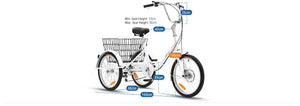 Progear Bikes RideFree Trike 20