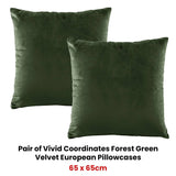 Bianca Pair of Vivid Coordinates Forest Green Velvet European Pillowcases