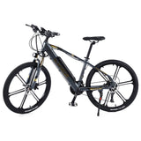 AKEZ 001 350W Mortor 36V 10Ah 26 Inches Electric Bike Mountain Bicycle - Grey