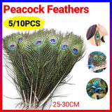 5-10PCS Natural Peacock Tail Eyes Feathers 75-80cm 26-30cm DIY Craft Vase Decor