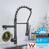 2022 Matte Black pull out with spray function spring kitchen mixer tap faucet Dual outlets