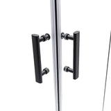 Adjustable 900x1000mm Double Sliding Door Glass Shower Screen in Black