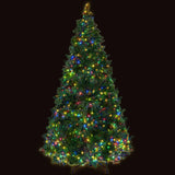 Jingle Jollys Christmas Tree 2.1M Green With 1134 LED Lights Multi Colour