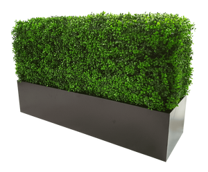 Deluxe Portable Buxus (Bright) UV Resistant 100cm Long x 50cm High x 25cm Wide