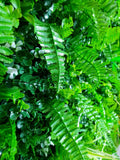 WILD TROPICS UV STABILISED 1m x 1m